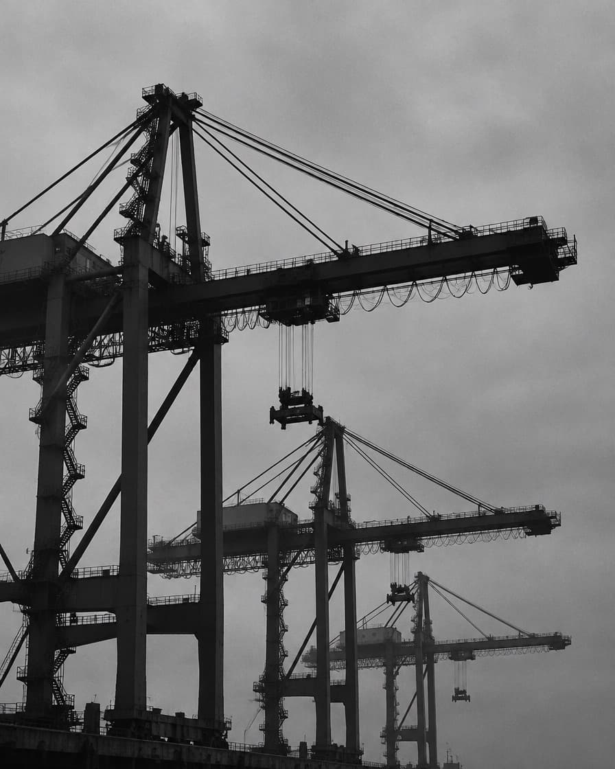 Container port gantry cranes against an overcast sky